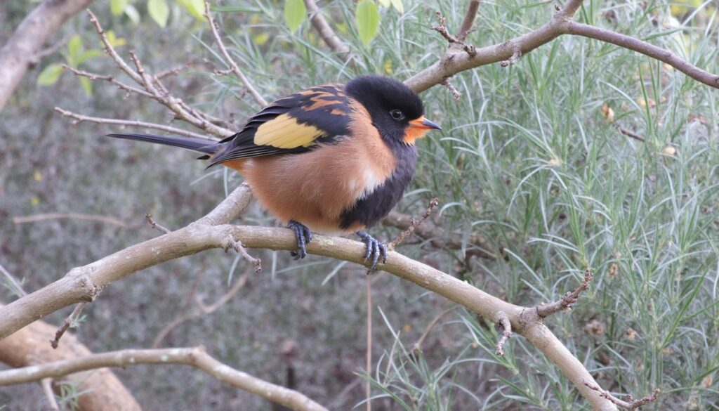 découvrez iemmafashion, votre blog incontournable mode, beauté et bien-être tendance en 2024. astuces, conseils et inspirations pour un style unique et une vie équilibrée.